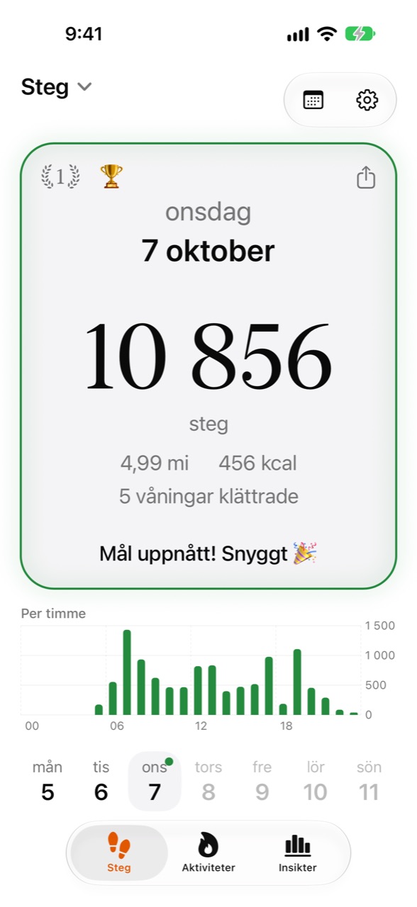 Steppers hemskärm med dagens steg och framsteg mot målet